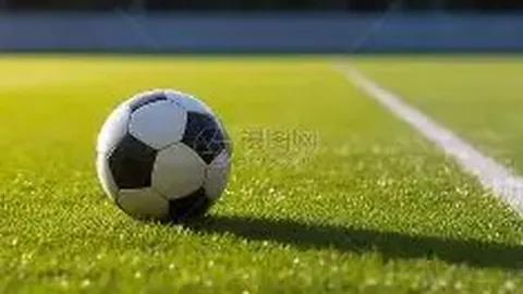 齐达内因理念分歧赛季末告别皇马教练席